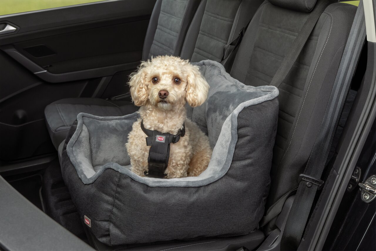 Kleiner Hund im TRIXIE Autositz für Hunde, grau, für Hunde bis 8 kg, sicher und bequem, verhindert Verrutschen während der Fahrt.