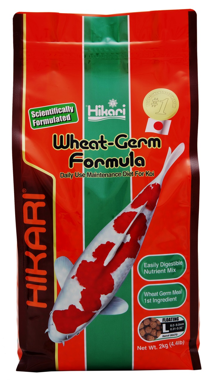 Hikari Wheat-Germ Formula: Hochwertiges, leicht verdauliches Koi-Futter mit Weizenkeim, 2 kg.