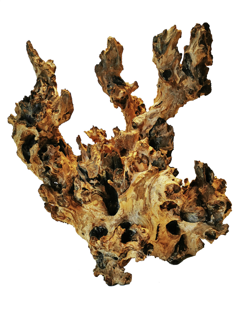 Sparpaket 2 x Orbit Barico-Wurzel Aquarium Dekoration 35 - 50 cm L