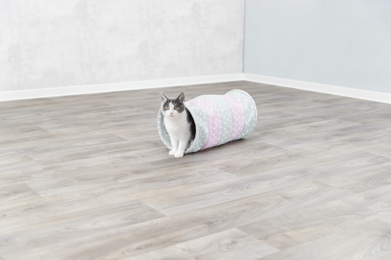 TRIXIE Katzenspielzeug: Spieltunnel für Katzen, pastellfarben (rosa/mint mit weißen Punkten), weich, faltbar, ideal für drinnen.