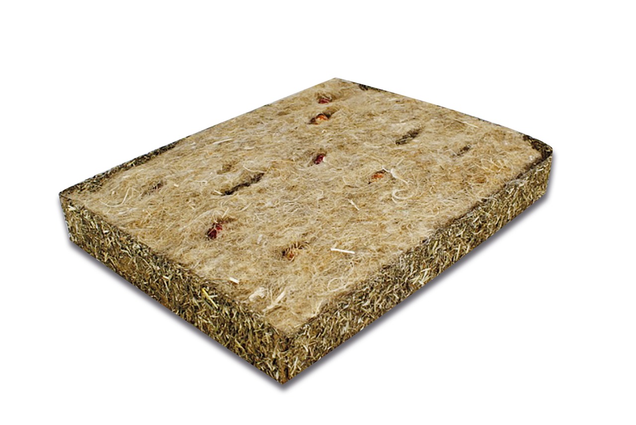 Das Bild zeigt das Produkt „JR FARM Heu-Wiese mit Blüten“, ein Naturprodukt für Kleintiere wie Kaninchen, Meerschweinchen und andere Nager. Die rechteckige Heu-Matte besteht aus gepresstem Heu und ist mit essbaren Blüten verfeinert. Sie dient als Beschäft