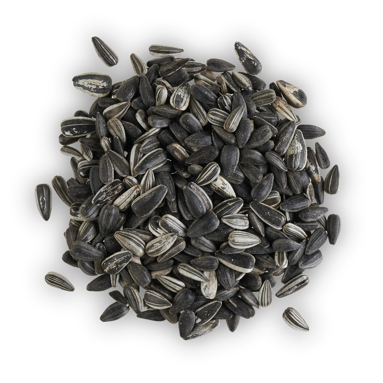 Lottis Piepmätze Sonnenblumenkerne, Wildvögel, naturbelassen, hochwertige Energiequelle, ideal für Garten/Balkon.