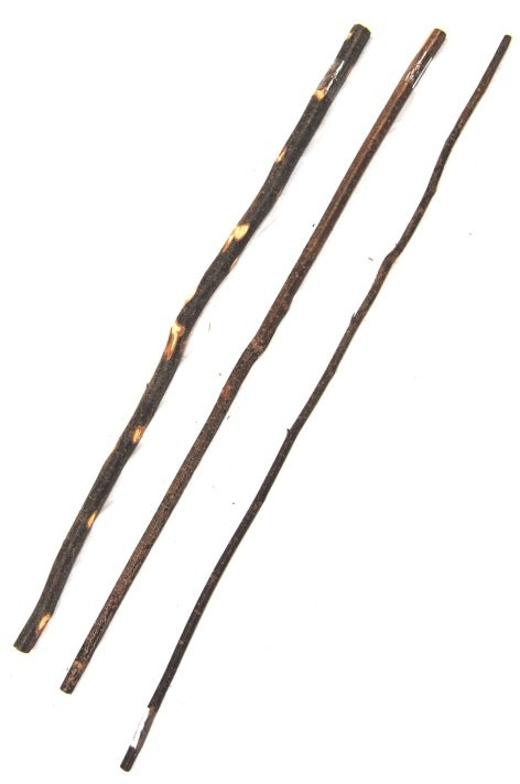 Ollesch Kauhölzer für Hunde, naturbelassen, Zahnpflege, Kauspaß, 4 Stk., ideal für mittelgroße-große Hunde, variierende Größe.
