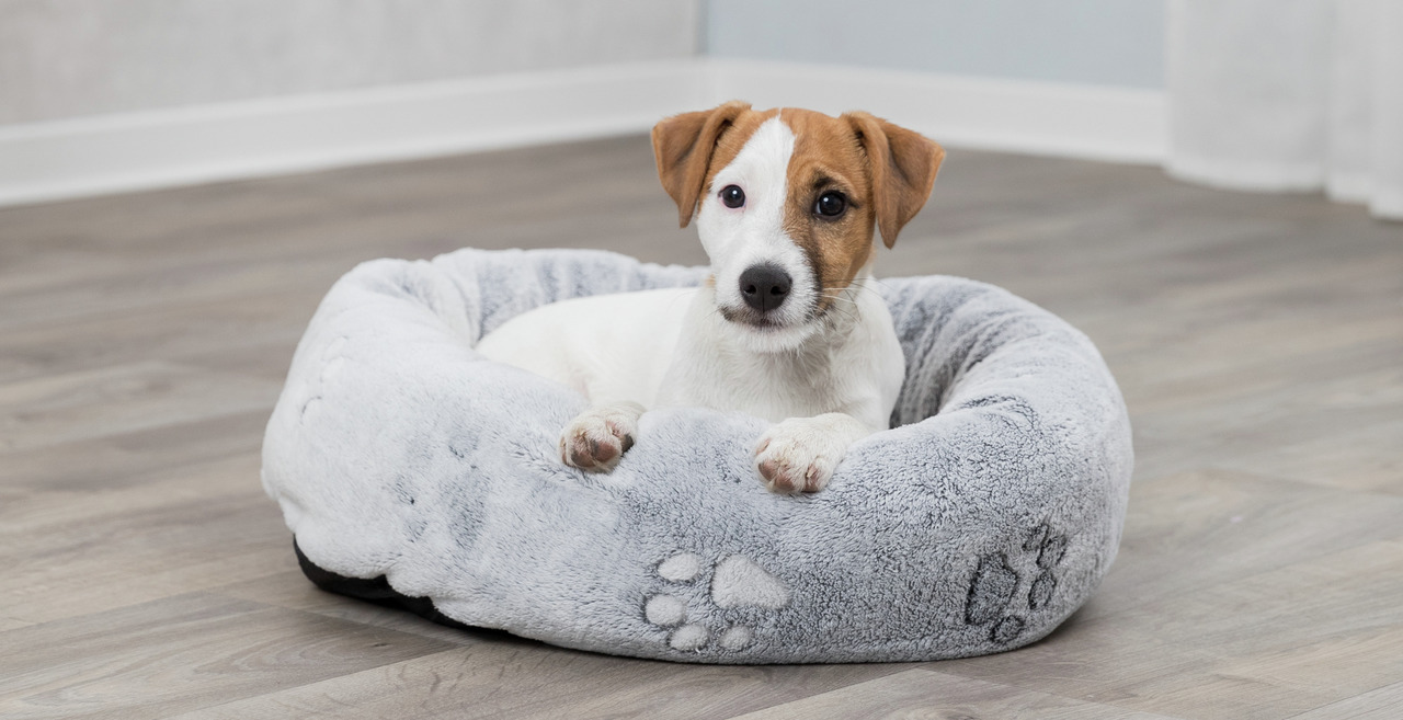 Das Bild zeigt ein TRIXIE Hundebett in hellgrauer Farbe mit Pfotenmuster, geeignet für kleine Hunde. Das Bett ist rund, weich gepolstert und bietet hohen Komfort. Es liegt auf einem Holzboden in einem hellen Raum. Zielgruppe sind Hundehalter, die Wert auf