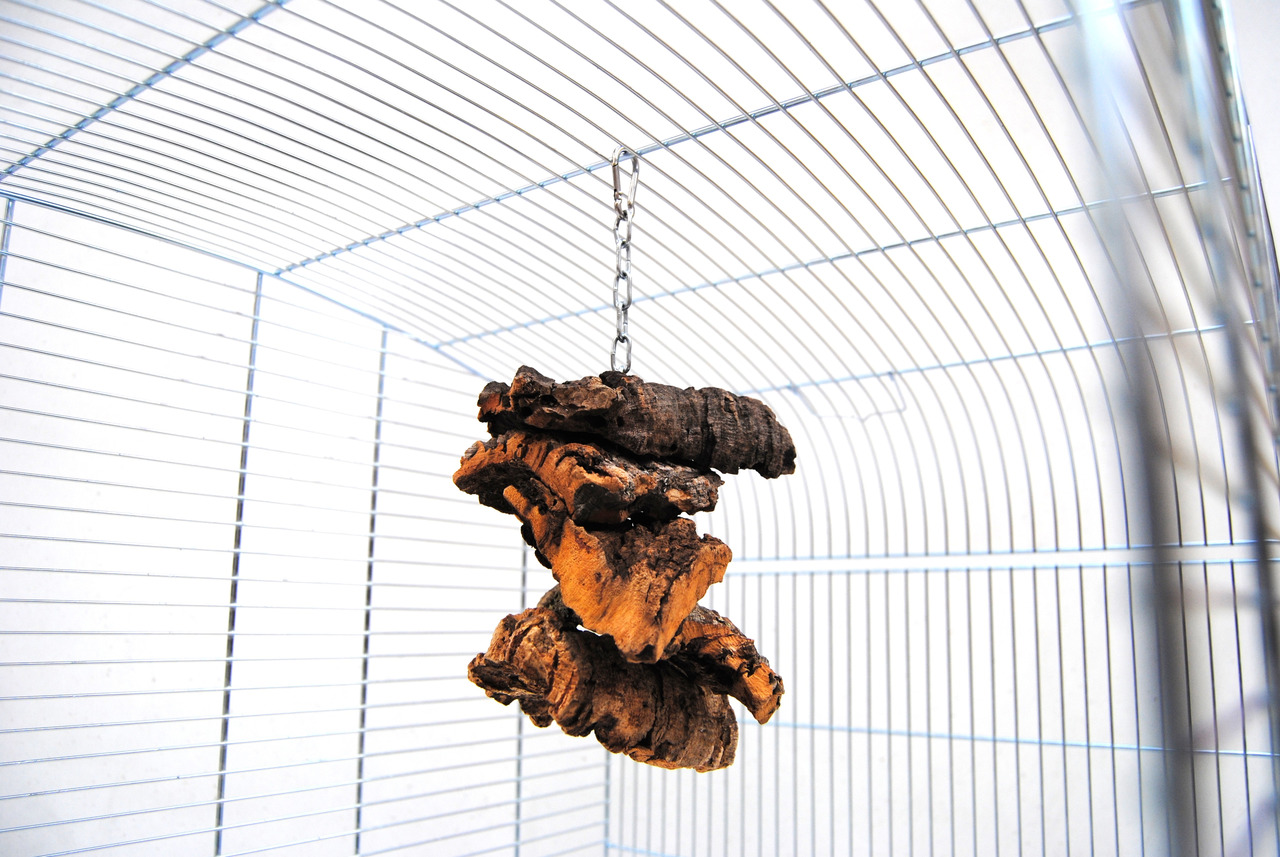 Das Bild zeigt das Produkt „Ollesch Korkröhre für Vögel“, geeignet für Ziervögel wie Wellensittiche und Kanarienvögel. Es handelt sich um eine natürliche Korkröhre, die an einer Metallkette in einem Vogelkäfig hängt. Die Korkröhre dient als Spielzeug und 