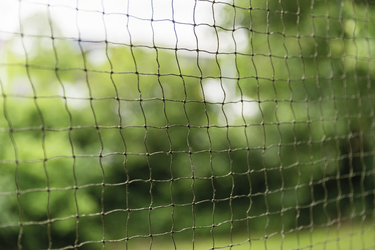 TRIXIE Katzenschutznetz, für Katzenhalter, robust & wetterfest, Schutz vor Stürzen, ideal für Balkon/Terrasse.