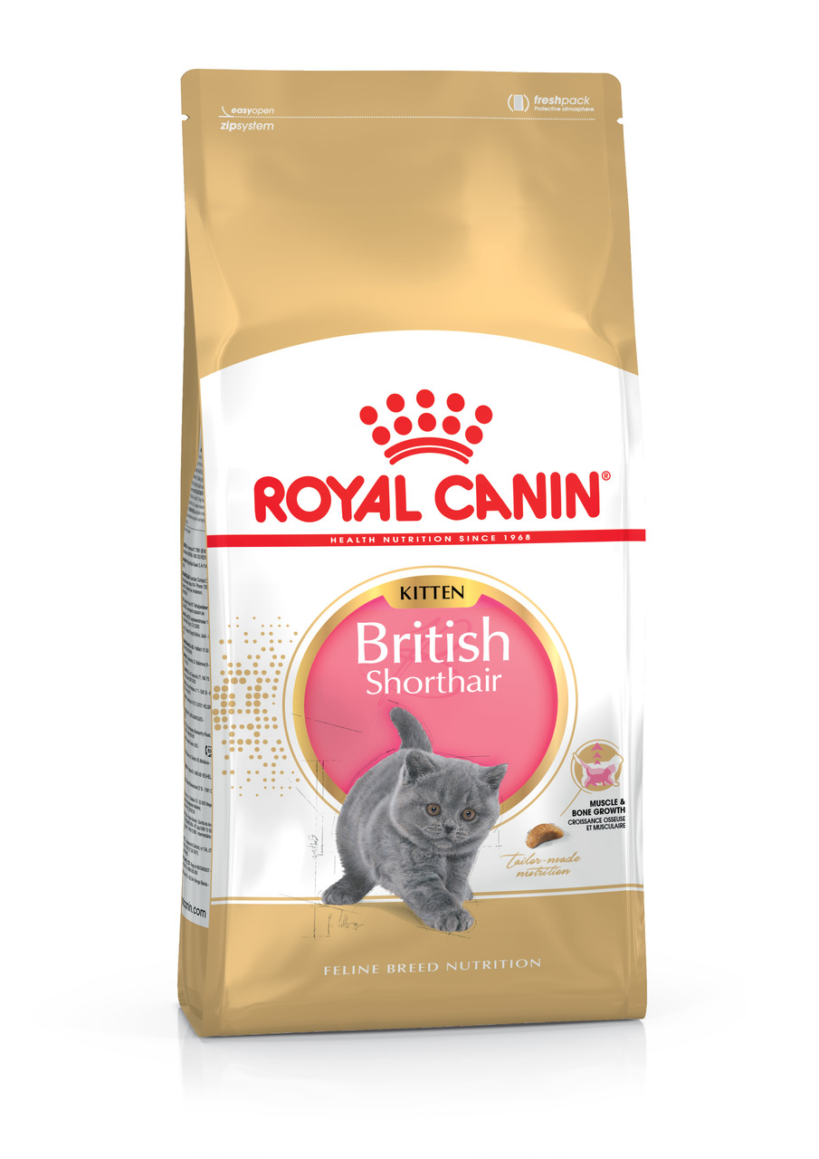 ROYAL CANIN Kitten British Shorthair, für British Shorthair-Katzenwelpen, 2 kg, unterstützt Muskel- & Knochenwachstum.