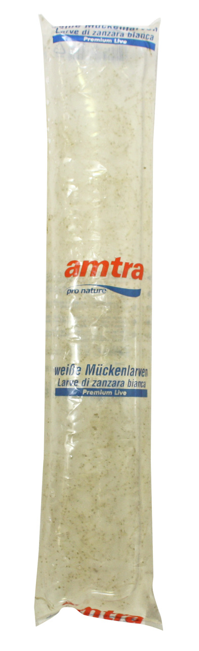 amtra pro nature weiße Mückenlarven Premium Live: Lebendes Fischfutter für Aquarienfische, hochwertig, 125 g.
