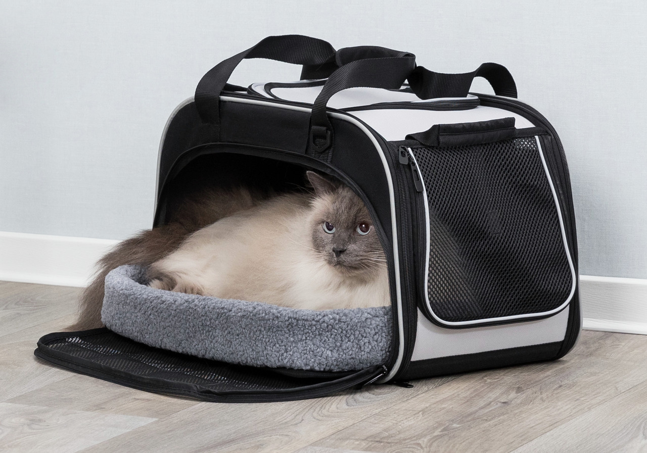 Auf dem Bild ist eine beige-braune Katze in einer schwarzen und grauen Transporttasche der Marke TRIXIE zu sehen. Die Tasche ist für Katzen und kleine Haustiere geeignet und verfügt über Netzfenster für Belüftung sowie einen weichen, herausnehmbaren Boden