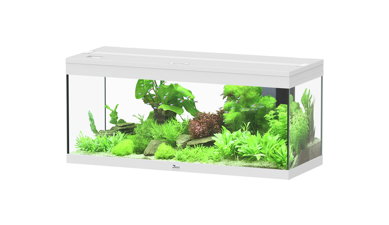 Aquatlantis Style LED 100, Aquarium für Aquaristik-Fans, rechteckig, weiß, LED-Licht, ideal für Süßwasserfische, Pflanzen, Deko.