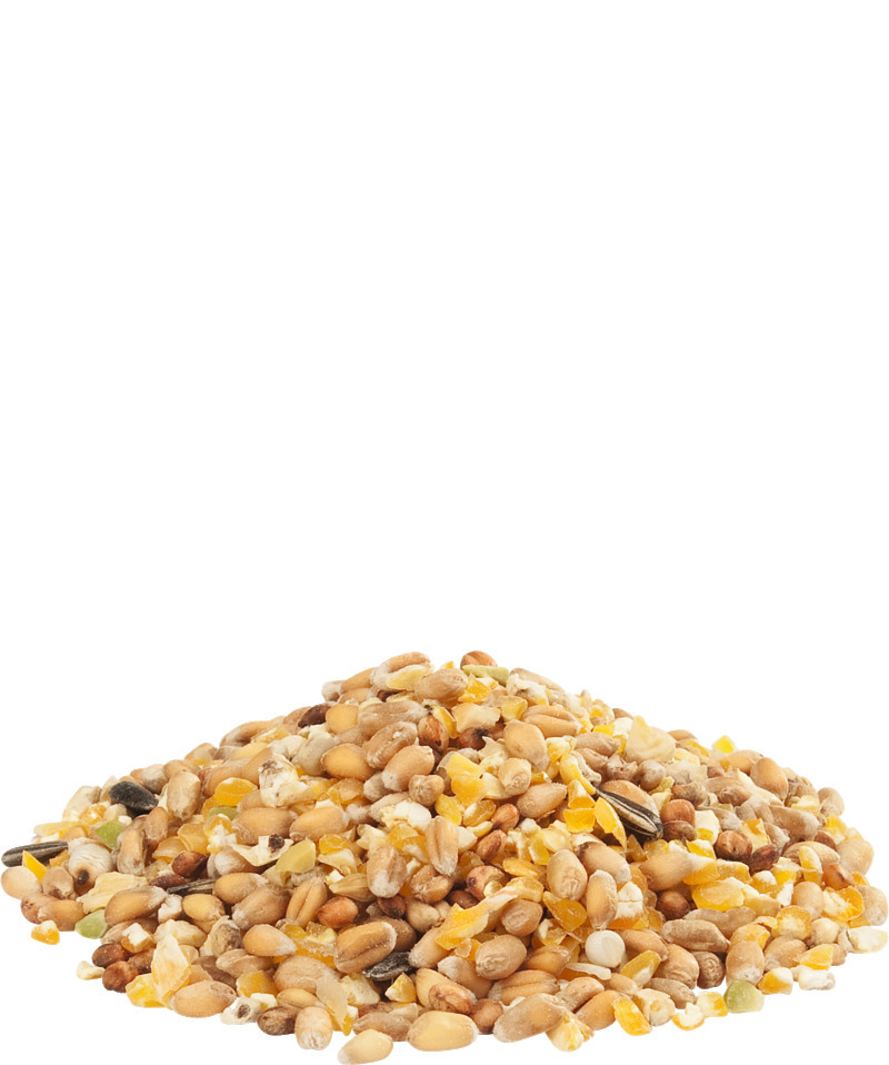 Versele-Laga Country's Best Gold 4 Mix, Hühnerfutter f. Legehennen, Getreide+Mais, fördert Eiqualität+Gesundheit, 20 kg.