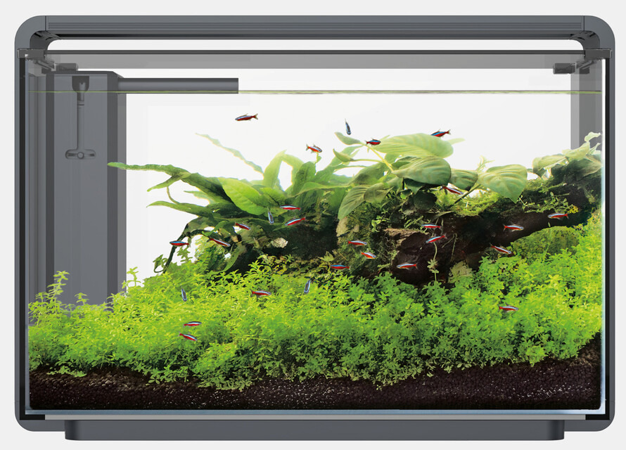 Superfish Home 25 Nano-Aquarium, 25 L, mit LED-Beleuchtung & Filtersystem, ideal für Anfänger & Fortgeschrittene, für kleine Fische.