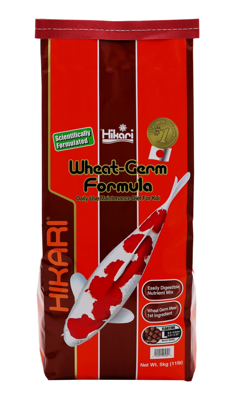 Hikari Wheat-Germ Formula, Fischfutter für Koi, leicht verdaulich, Weizenkeim, 5 kg, #1 Selling Koi Food.