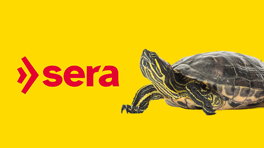 Sera Blog Teaser 920x518px%20schildkrte2 %281%29