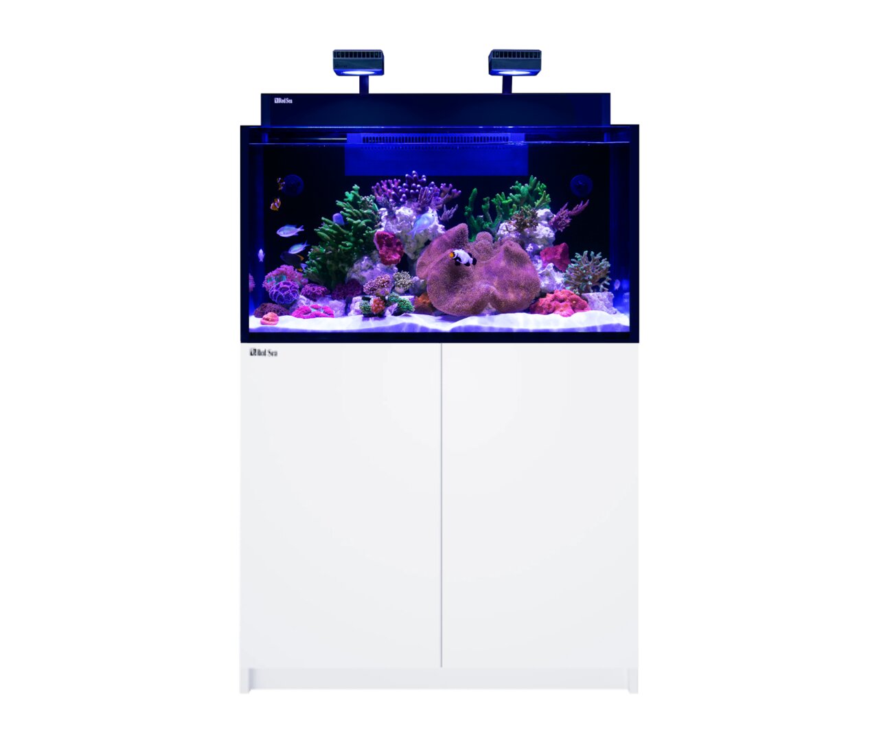 Red Sea Reefer 350, Aquarium f. Meerwasserliebhaber, inkl. Unterschrank, ideal f. erfahrene Aquarianer, elegantes Meerwasserökosystem.