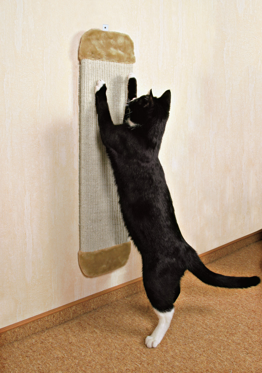 Das Bild zeigt eine schwarze Katze mit weißen Pfoten, die an einem an der Wand befestigten Kratzbrett der Marke TRIXIE kratzt. Das Kratzbrett ist für Katzen geeignet und besteht aus Sisal mit Plüschabdeckung an den Enden. Es dient der Krallenpflege und sc