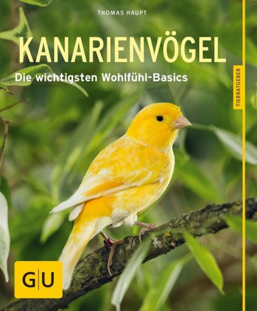 GU Verlag: „Kanarienvögel – Die wichtigsten Wohlfühl-Basics“ v. Thomas Haupt. Ratgeber zur Haltung & Pflege.
