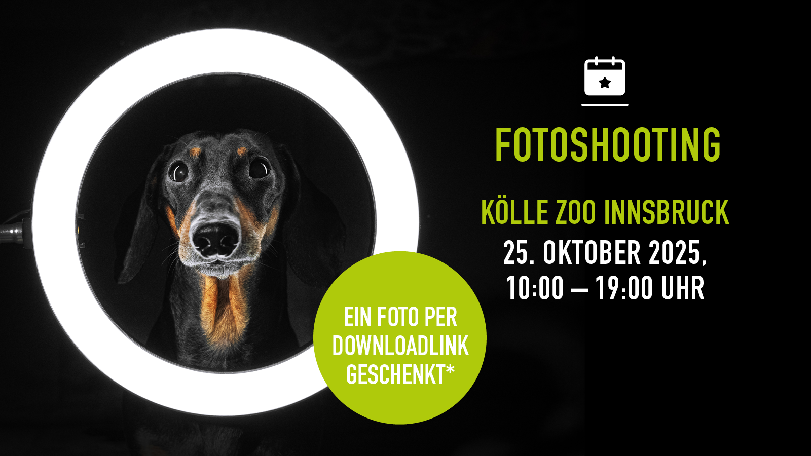 Dackel schaut durch Ringlicht, Text zum kostenlosen Fotoshooting Event.