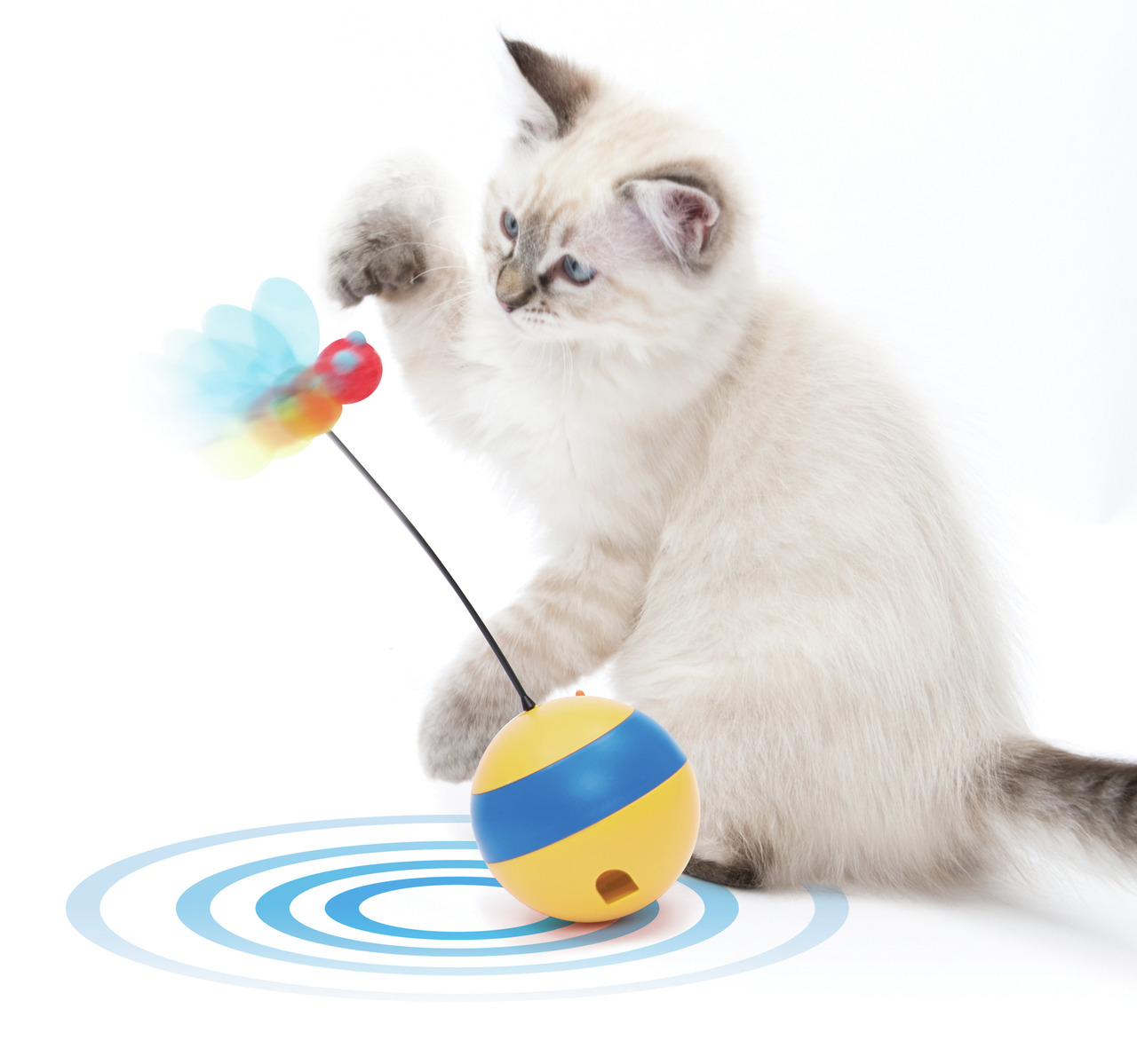 Catit Play-N-Scratch Katzenspielzeug, Katzen, gelb-blaue Kugel mit Feder & Flügeln, fördert Aktivität & Spielspaß.