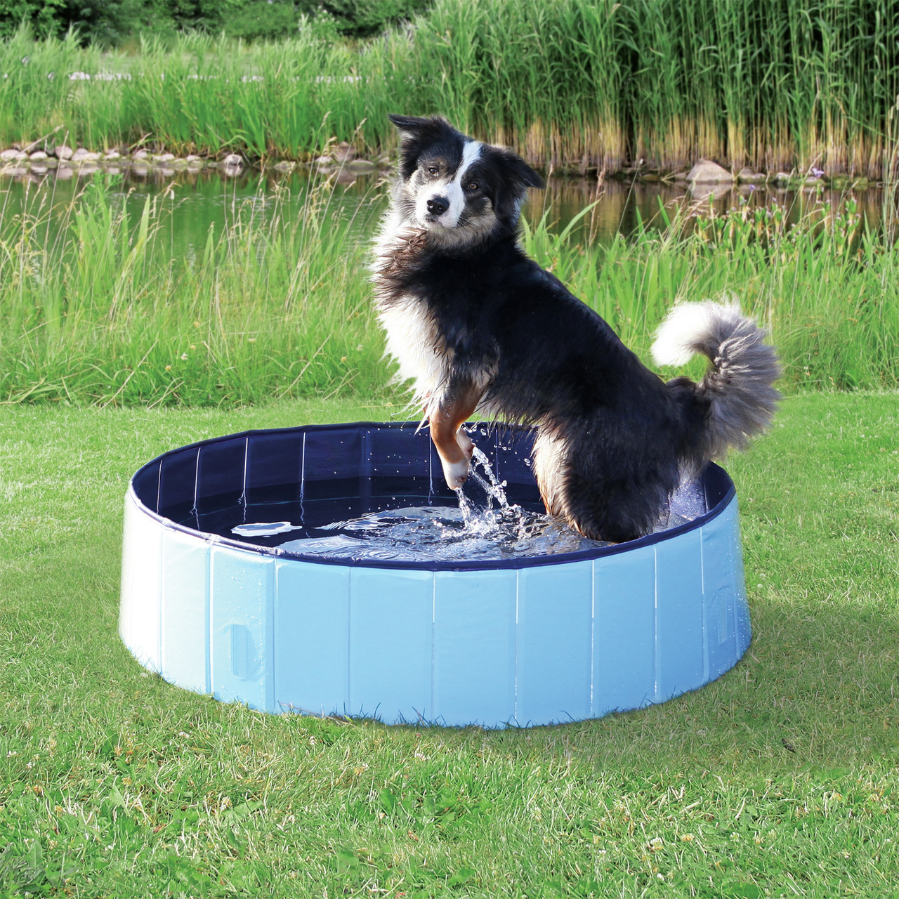 TRIXIE Hundepool, ideal für heiße Tage, für Hunde aller Größen, blau, speziell konzipiert, perfekt zum Abkühlen & Spielen.