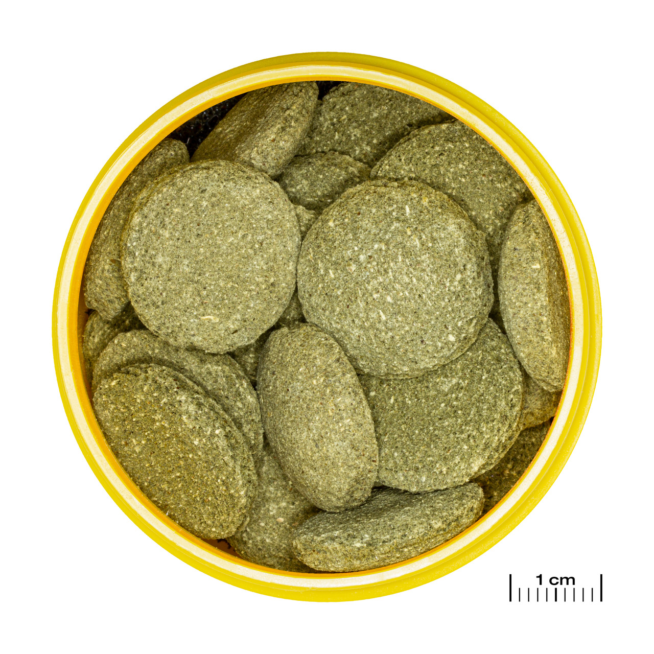 Runde, gelbe Dose mit grünlichen Futtertabletten der Marke JBL, Produktname: JBL NovoPleco XL. Zielgruppe: Bodenfressende Zierfische wie Welse. Geschmacksrichtung: Pflanzlich, mit Holzfasern. Werbeaussage: Fördert die Gesundheit und Verdauung. Menge: Inha