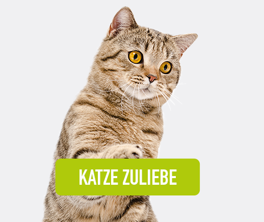 Getigerte Katze mit gelben Augen, Text: KATZE ZULIEBE