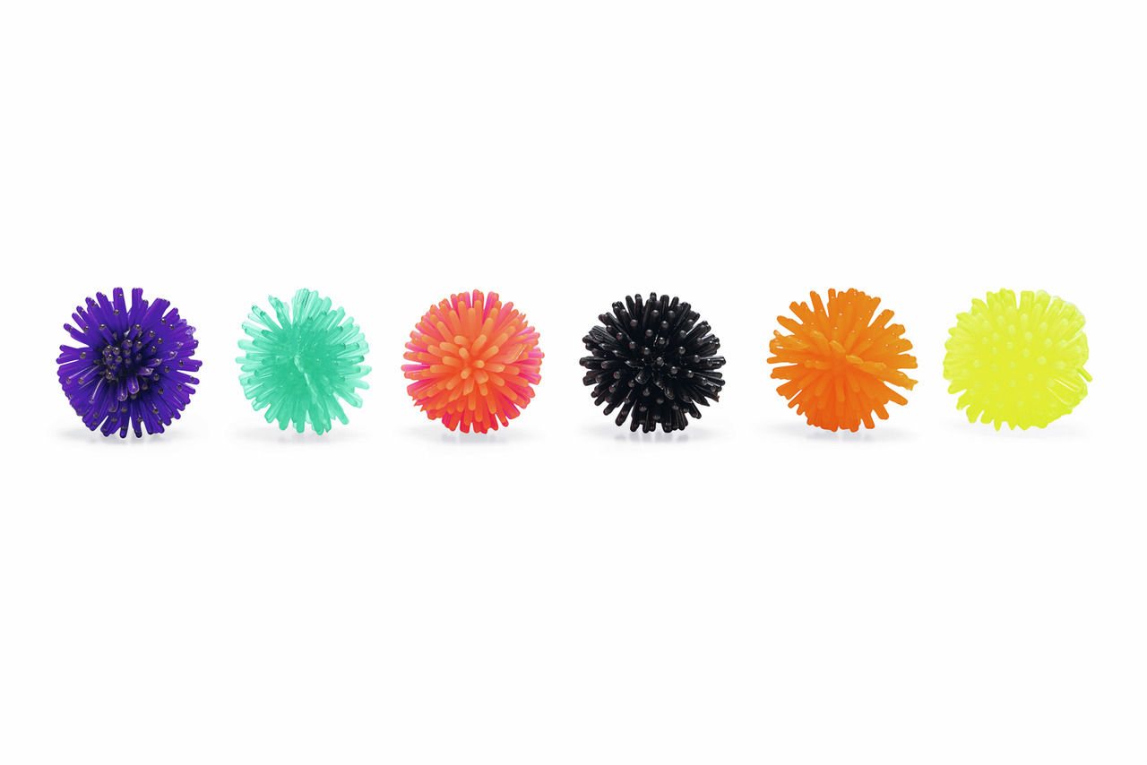 Beeztees Spielbälle für Hunde, 6 Stk., farbig (Lila, Türkis, Rot, Schwarz, Orange, Gelb), flexibel, stachelartig, Spielspaß & Zahnpflege.