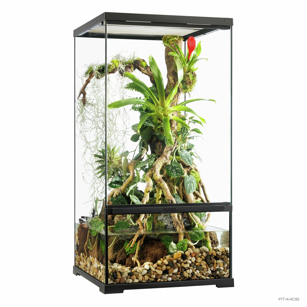 Exo Terra Terrarium, Glasterrarium für Reptilien-Amphibien, mit Pflanzen, Moos, Ästen, Kieselboden, Belüftung, Abdeckung.