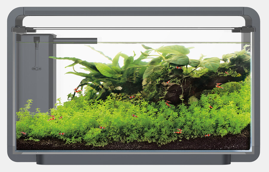 Superfish Home 25 Nano-Aquarium, ideal für Garnelen & kl. Fische, mit LED-Beleuchtung, stilvollem Design, 25 l, für Aquaristik-Fans.