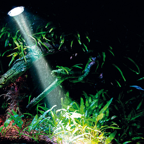 HOBBY Aquariumlampe für Aquaristik-Enthusiasten, schafft lebendige, natürliche Atmosphäre mit Lichtstrahl für Pflanzen & Äste.