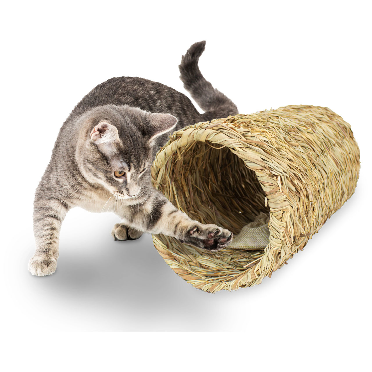 JR Farm Bavarian Catnip Katzenminze-Tunnel Katzen Spielzeug 18 cm x 34 cm