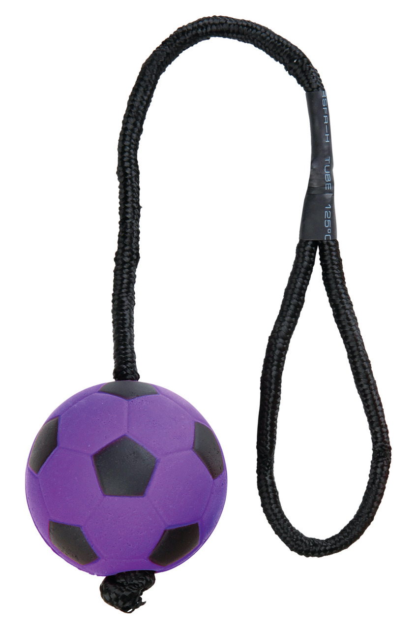TRIXIE Hundespielzeug "Ball am Seil", lila/schwarz, für alle Hunde, robustes Gummi+Seil, Wurf-/Zerrspielzeug, interaktives Training.