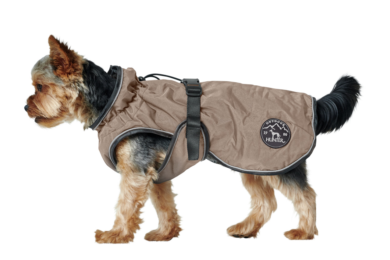 HUNTER Hundemantel, Schutz vor Kälte-Nässe, verstellbar, Logo „HUNTER Outdoor 1980“, für kleine Hunde (z.B. Yorkshire Terrier).