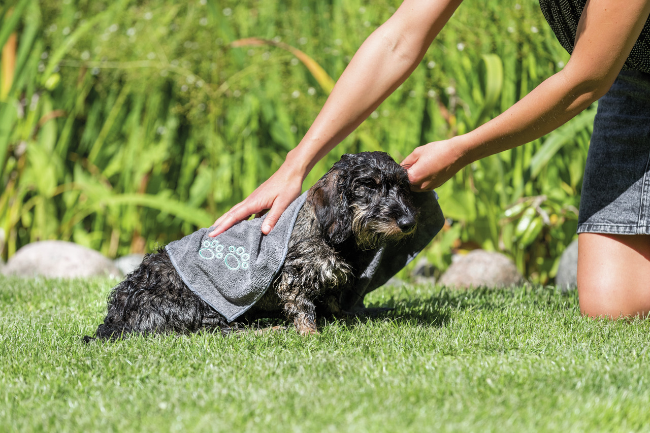 Das Bild zeigt einen nassen Hund, der mit dem TRIXIE Mikrofaser-Handtuch für Hunde abgetrocknet wird. Das Handtuch ist grau mit aufgestickten Pfotenmotiven und eignet sich für Hunde aller Größen. Es ist ideal für die Fellpflege nach dem Baden oder Spazier