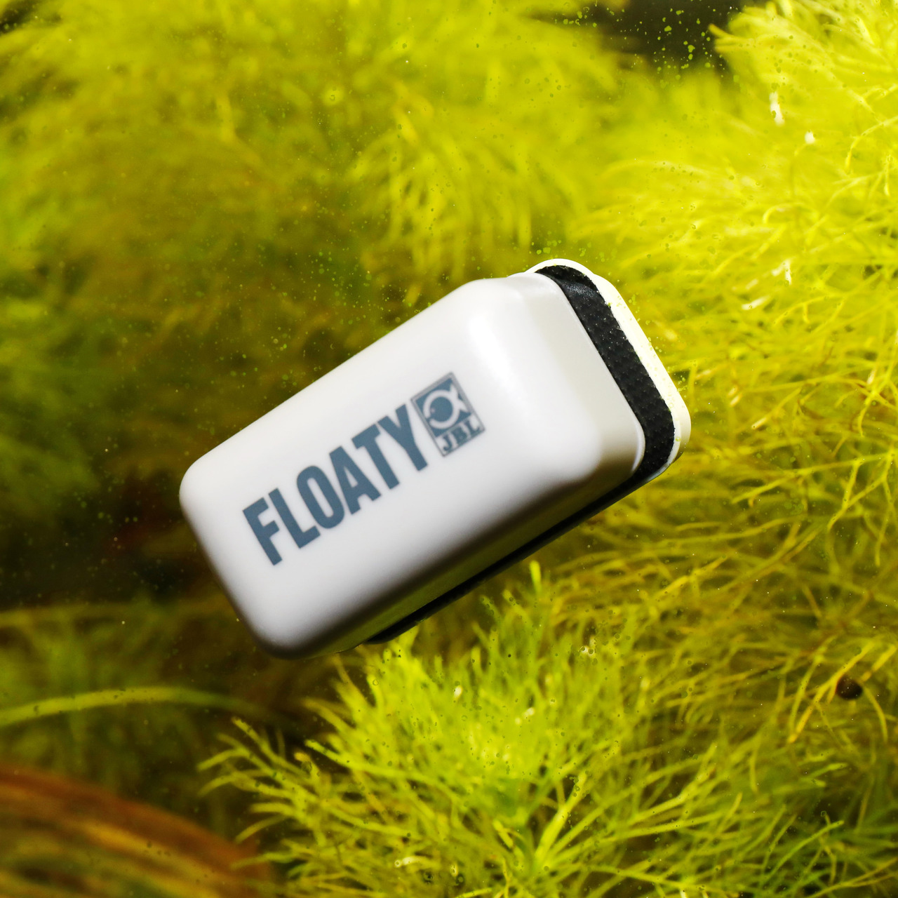 JBL Floaty: Schwimmender Magnetreiniger für Aquarienbesitzer, einfache Scheibenreinigung ohne Eintauchen, weiß-schwarz, Pflanzenhintergrund.
