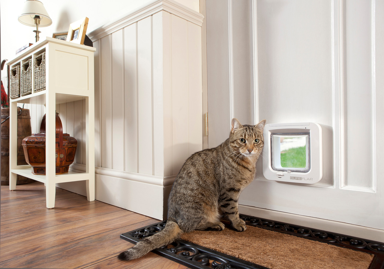 SureFlap Mikrochip-Katzenklappe, für Katzen, erkennt Mikrochip, ermöglicht Zugang, weiß, passend für Türen.