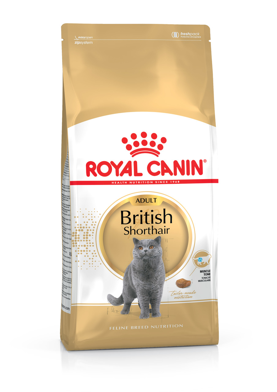 ROYAL CANIN British Shorthair Adult, für ausgewachsene British Shorthair Katzen, 2 kg, unterstützt Muskelgesundheit.