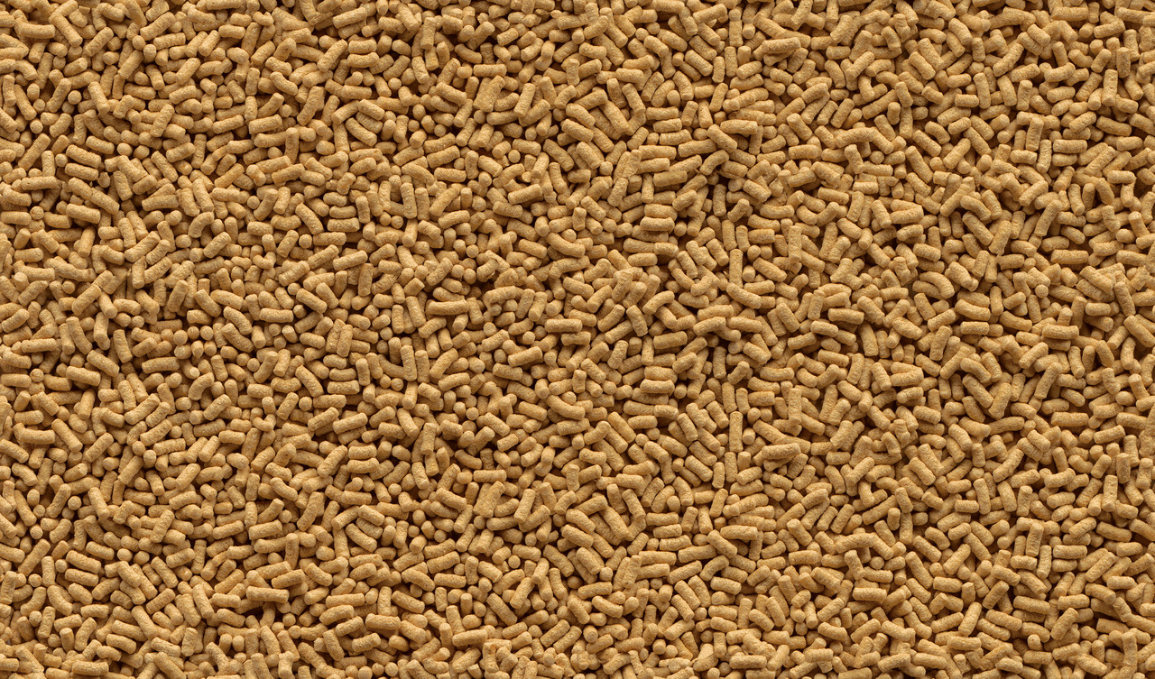 Tetra Pond Sticks: Hauptfutter für alle Zierfische, schwimmend, fördert gesunde Ernährung & klares Wasser. Zielgruppe: Teichfischhalter.