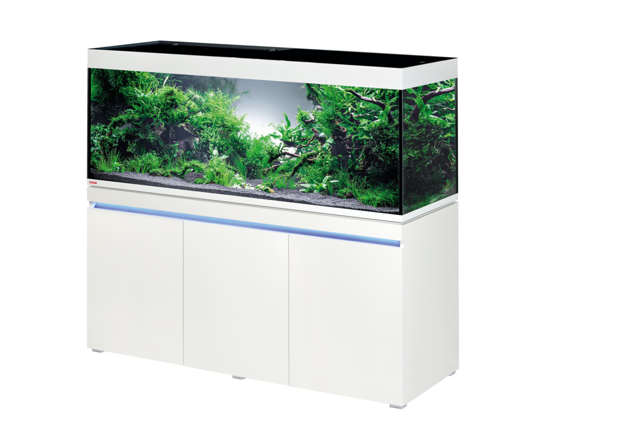 EHEIM incpiria 530: Aquarium (530 L) für Süßwasserfische, inkl. weißem Unterschrank, Pflanzen & Deko – ideal für Aquaristik-Fans.