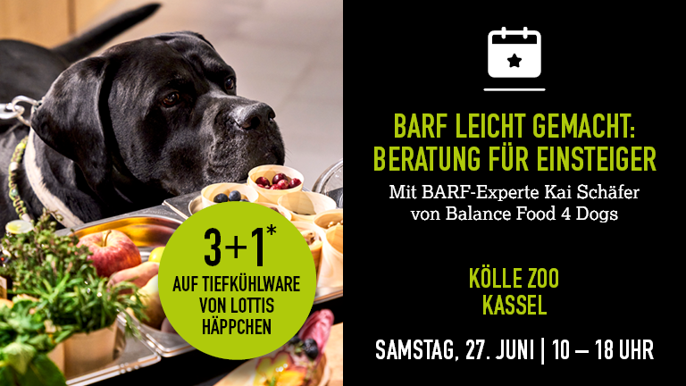 270626 Barf Kassel Feed Mobile 768x432px