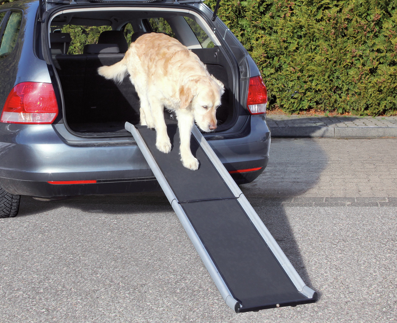 Trixie Petwalk Klapp-Rampe Aluminium Hunde Autozubehör 38 x 155 cm