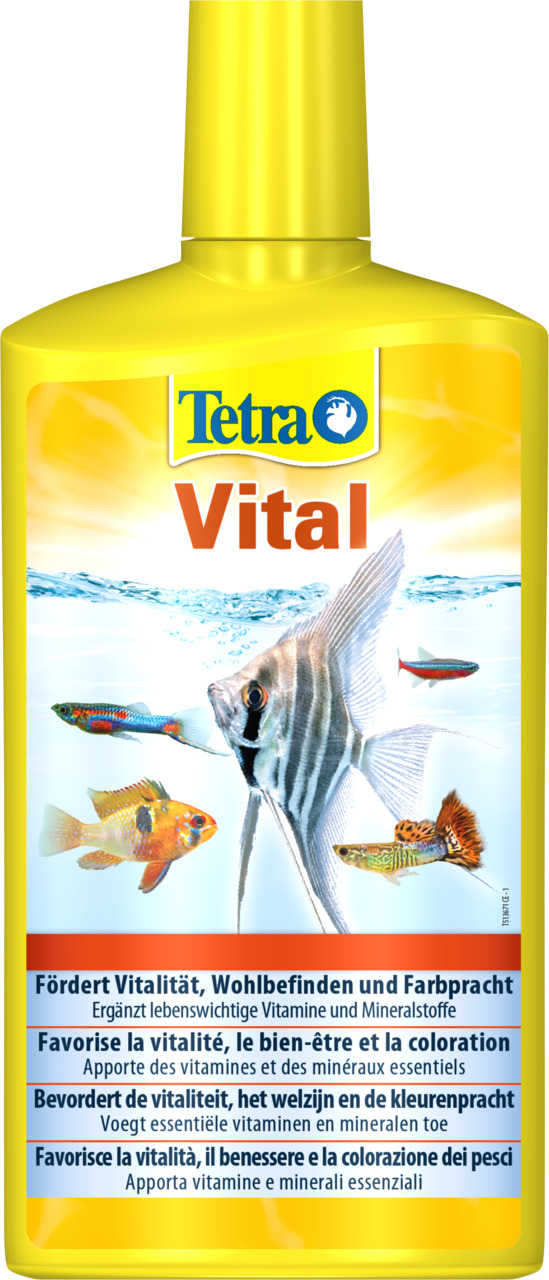 Tetra Vital von Tetra: Ergänzungsmittel für Zierfische, mit Vitaminen & Mineralstoffen, fördert Vitalität, Wohlbefinden & Farben.
