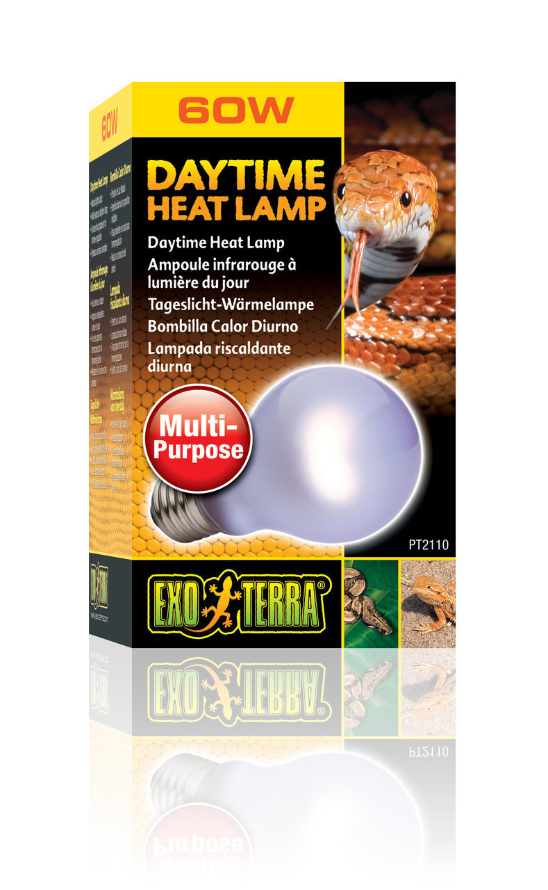 Exo Terra Daytime Heat Lamp 60W, für Reptilien-Terrarientiere, Tageslicht-Wärmelampe, fördert Wohlbefinden, vielseitig einsetzbar.