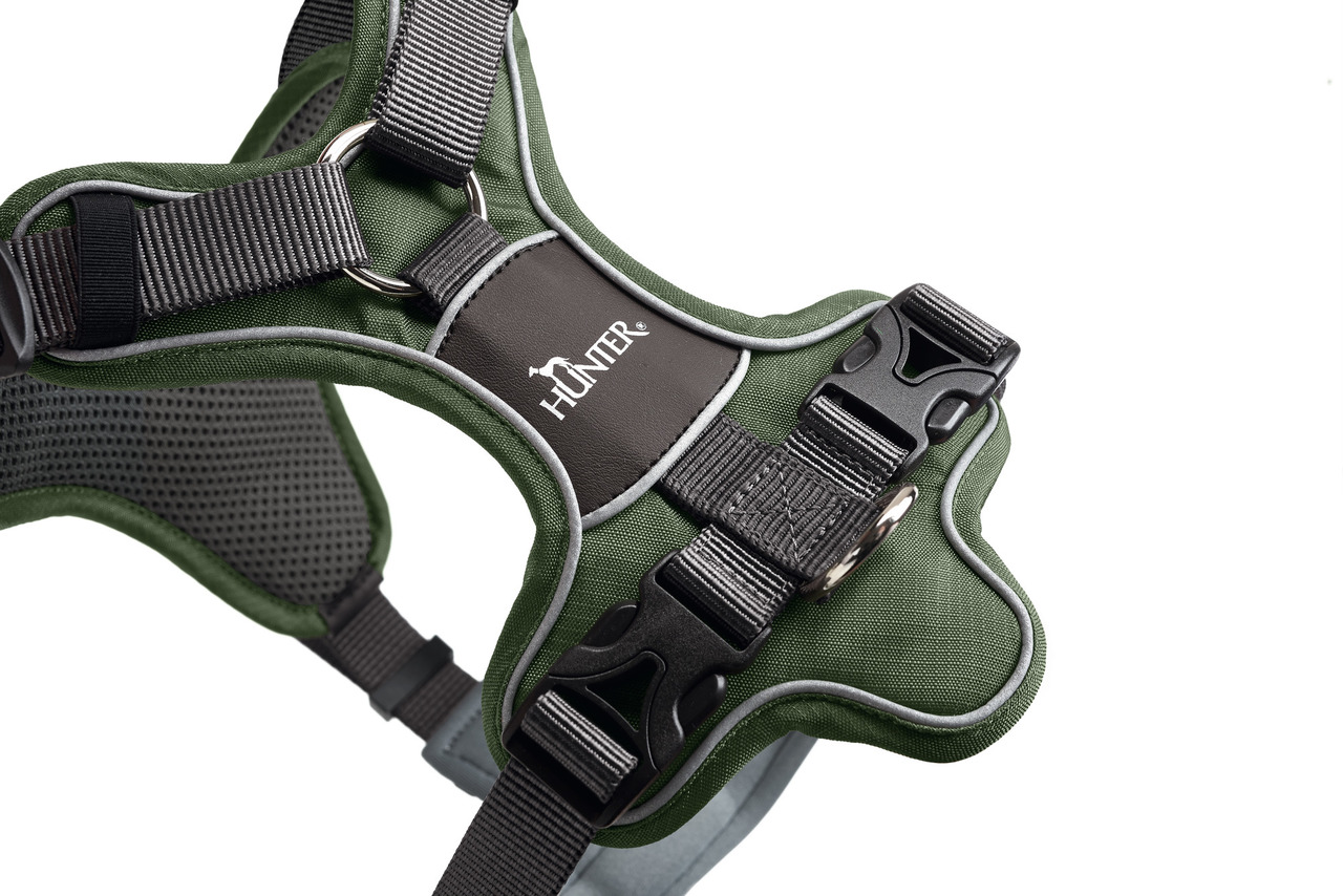 HUNTER Geschirr Divo L-XL grün/grau