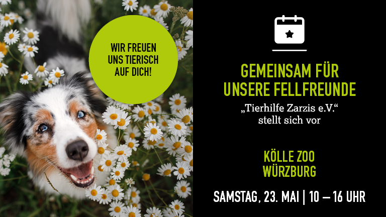 230526 Tierhilfe Wrzburg Mobile 768x432px