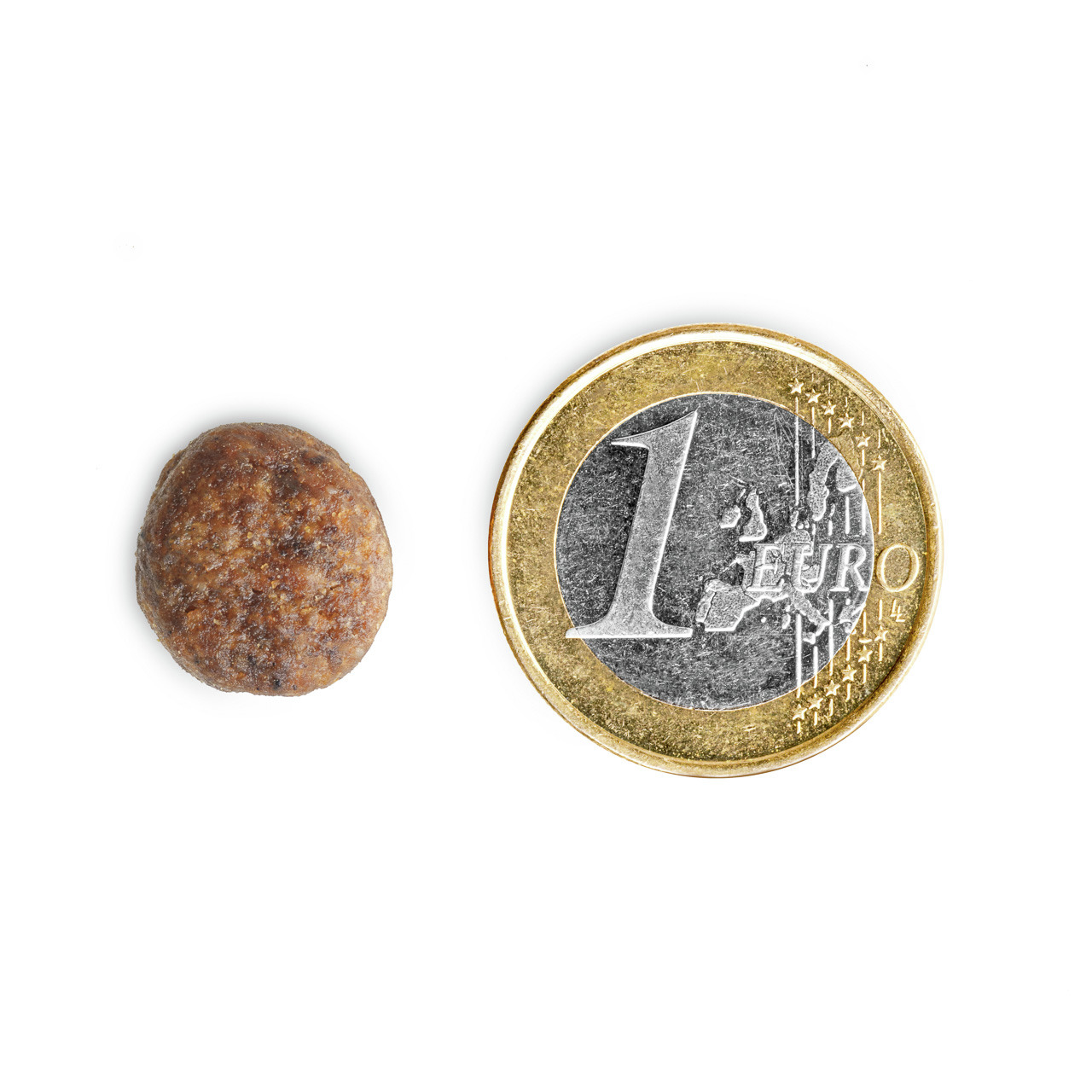 Das Bild zeigt ein einzelnes, rundes Trockenfutterstück der Marke TIKAANI neben einer 1-Euro-Münze zum Größenvergleich. Das Produkt ist für Hunde geeignet und bietet eine ausgewogene Ernährung. Die Geschmacksrichtung ist nicht angegeben. Die Darstellung v