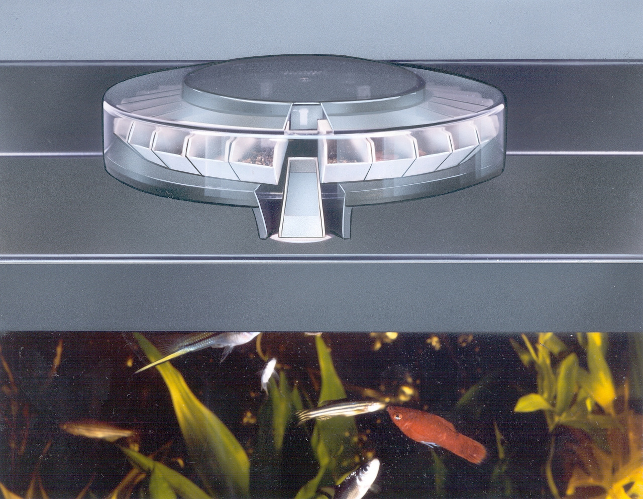 Grässlin Rondomatic 400 Futterspender für Aquarienbesitzer, 28 Kammern, präzise Fütterung, ideal für Urlaub, rund, transparent.