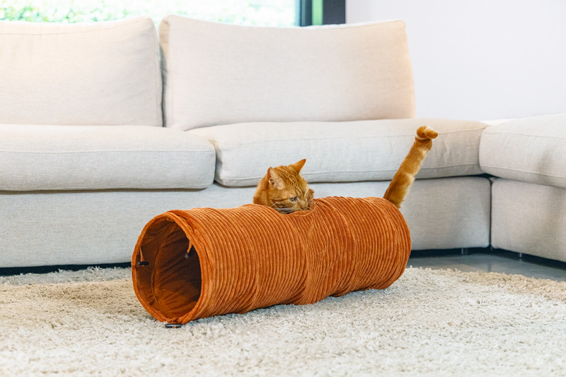 Katzentunnel "Designed by Lotte", orange, weicher gerippter Stoff, für Katzen, ideal zum Spielen, ca. 125 cm.