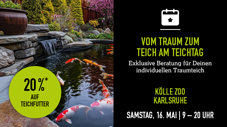 160526 Teichtag Karlsruhe Mobile 768x432px