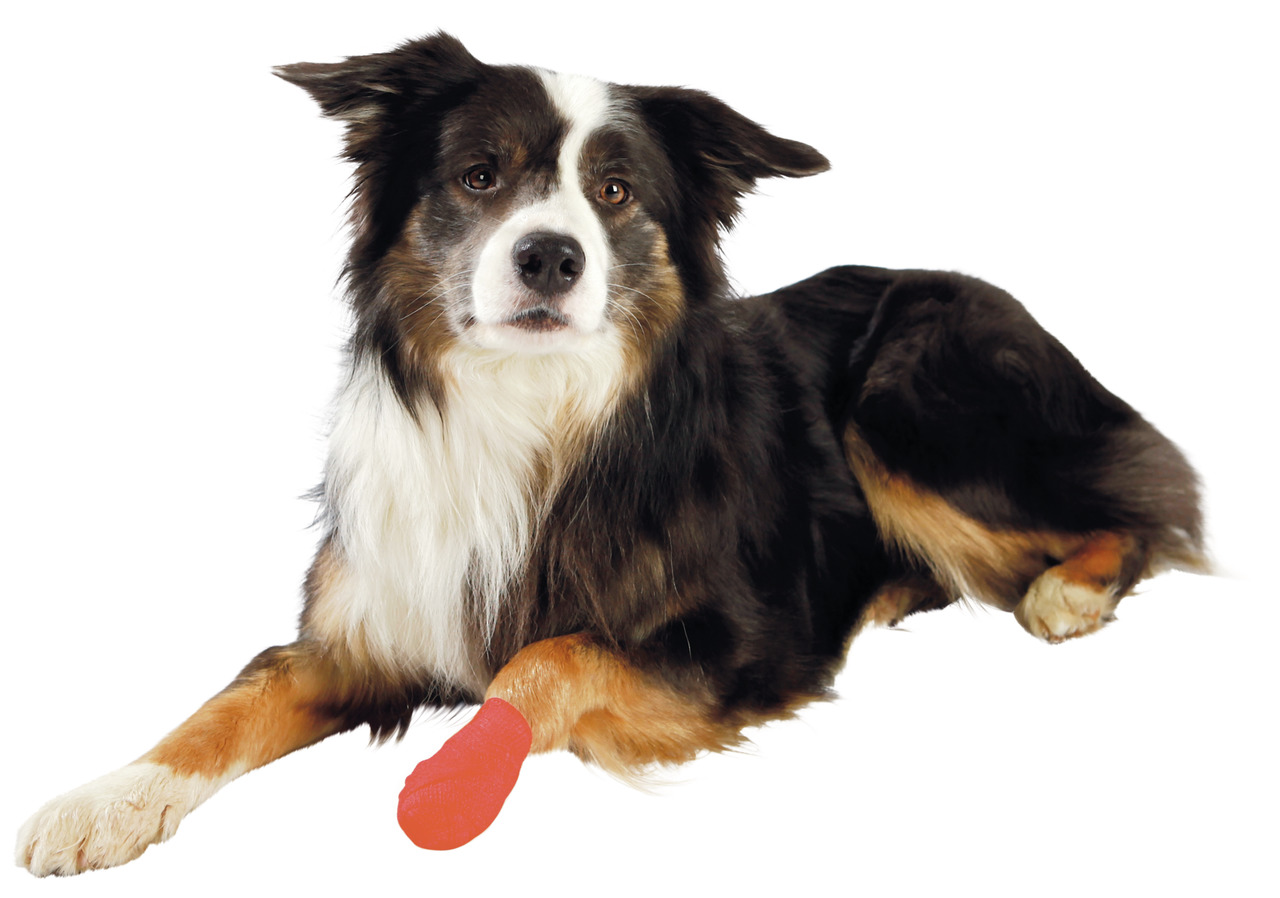 TRIXIE Verband für Hunde, für alle Größen, schützt verletzte Pfoten, fördert Heilung. Zielgruppe: Hundebesitzer.
